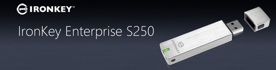 ironkey s250 ironkey s250